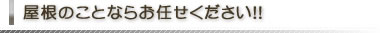 屋根のことならお任せください！